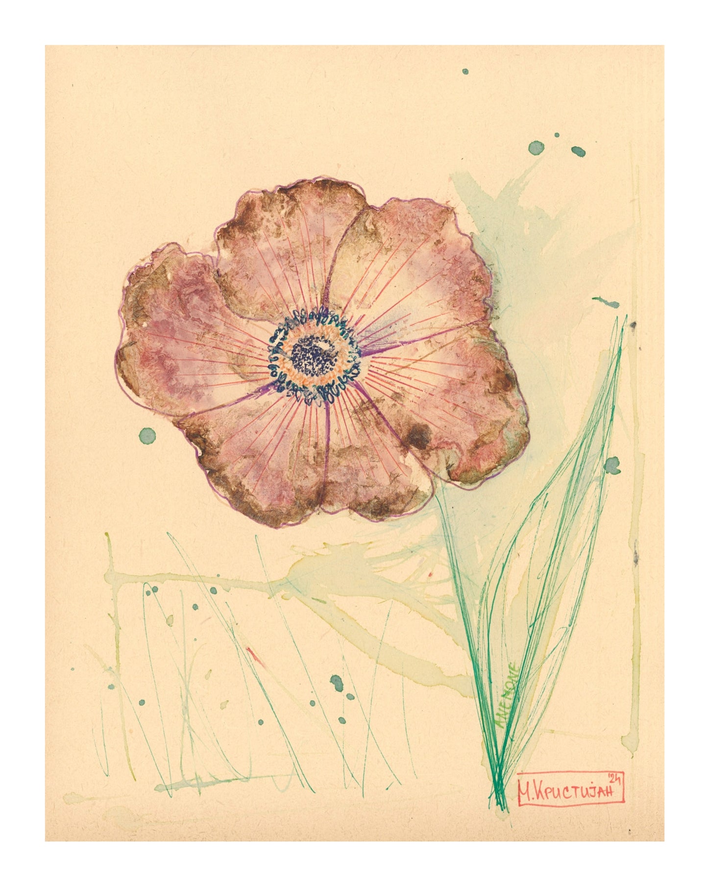 Anemone Flower 1 | print