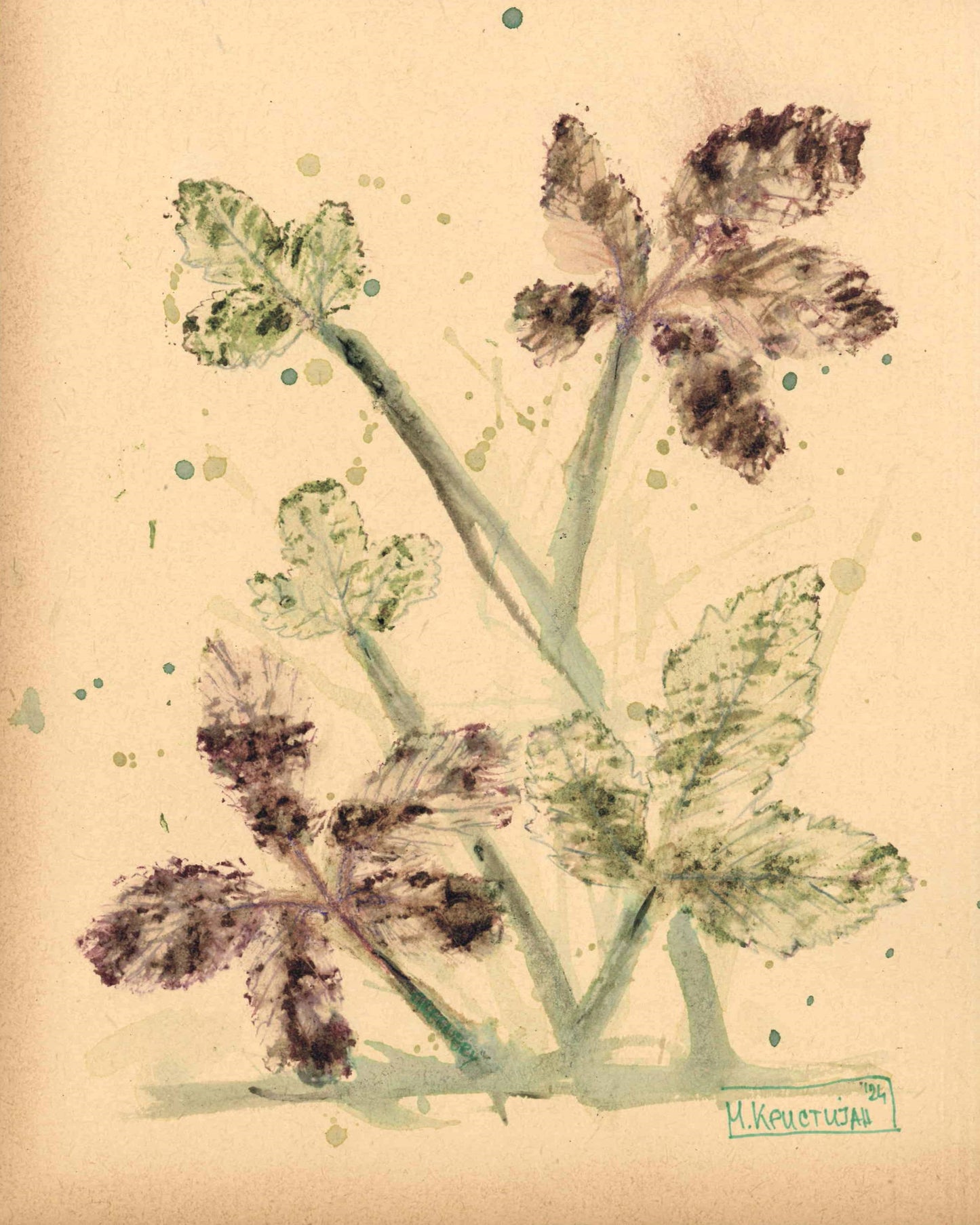 Ivy Leaves