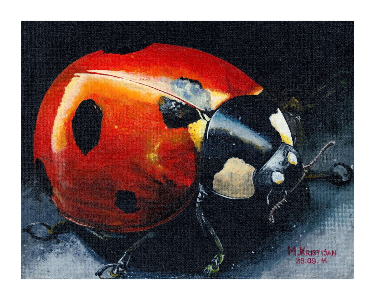 Ladybug | print