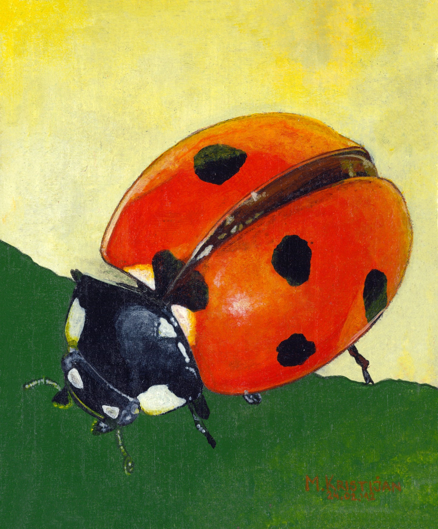 Miss Lady Bug