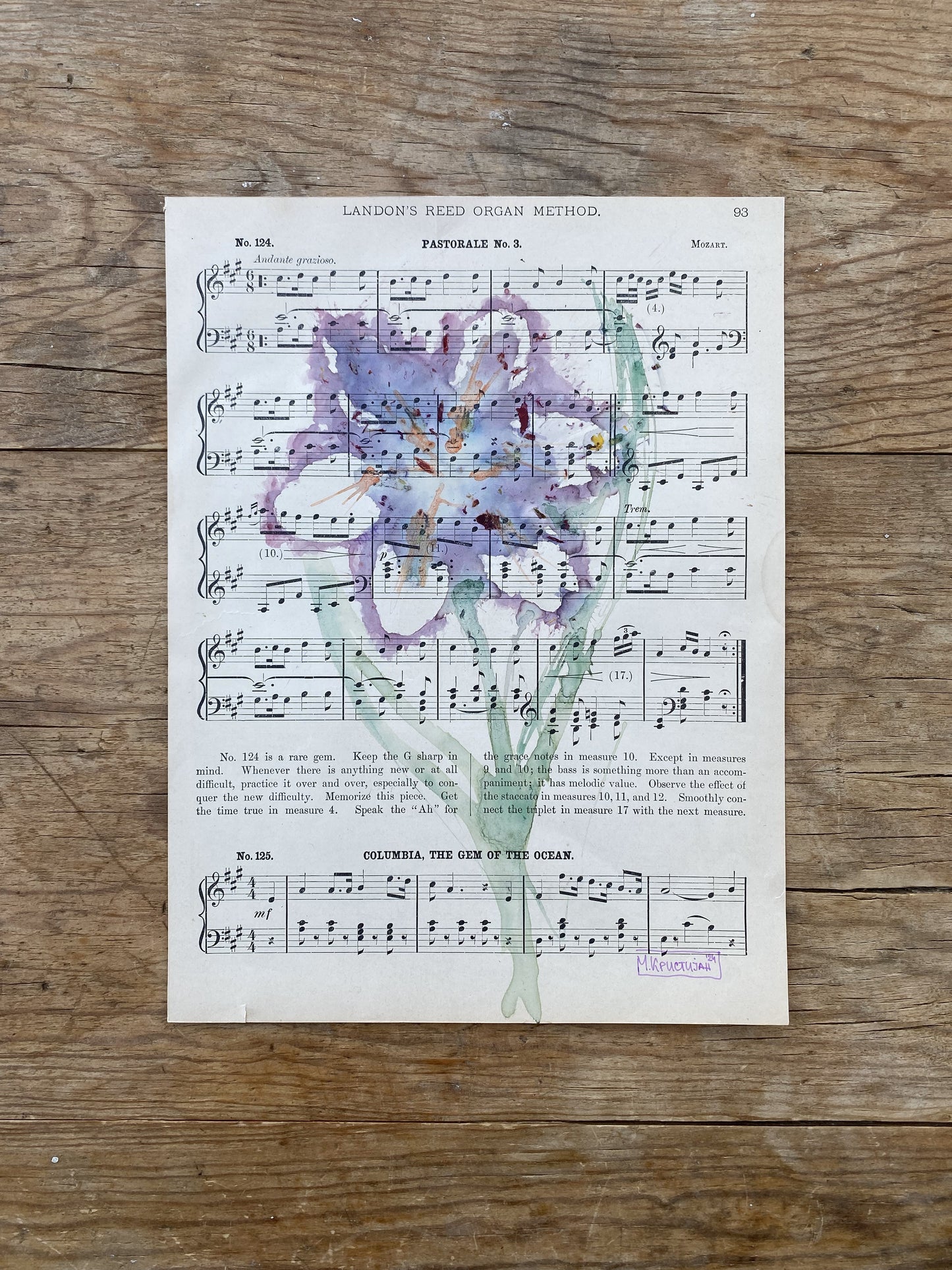 Musical Tulips 1 | print