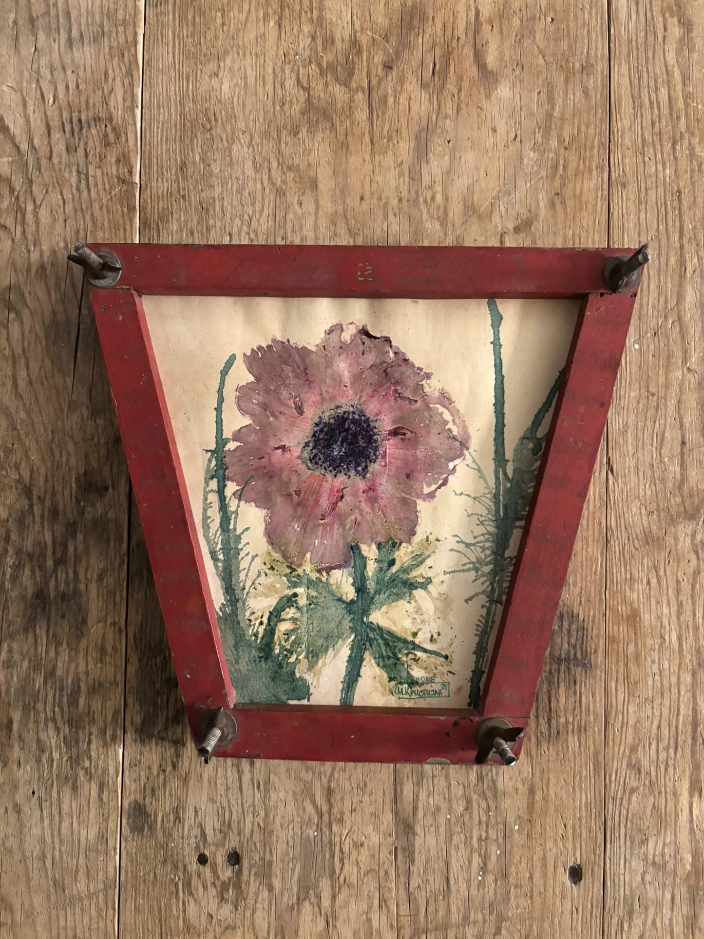 Pink Anemone | print