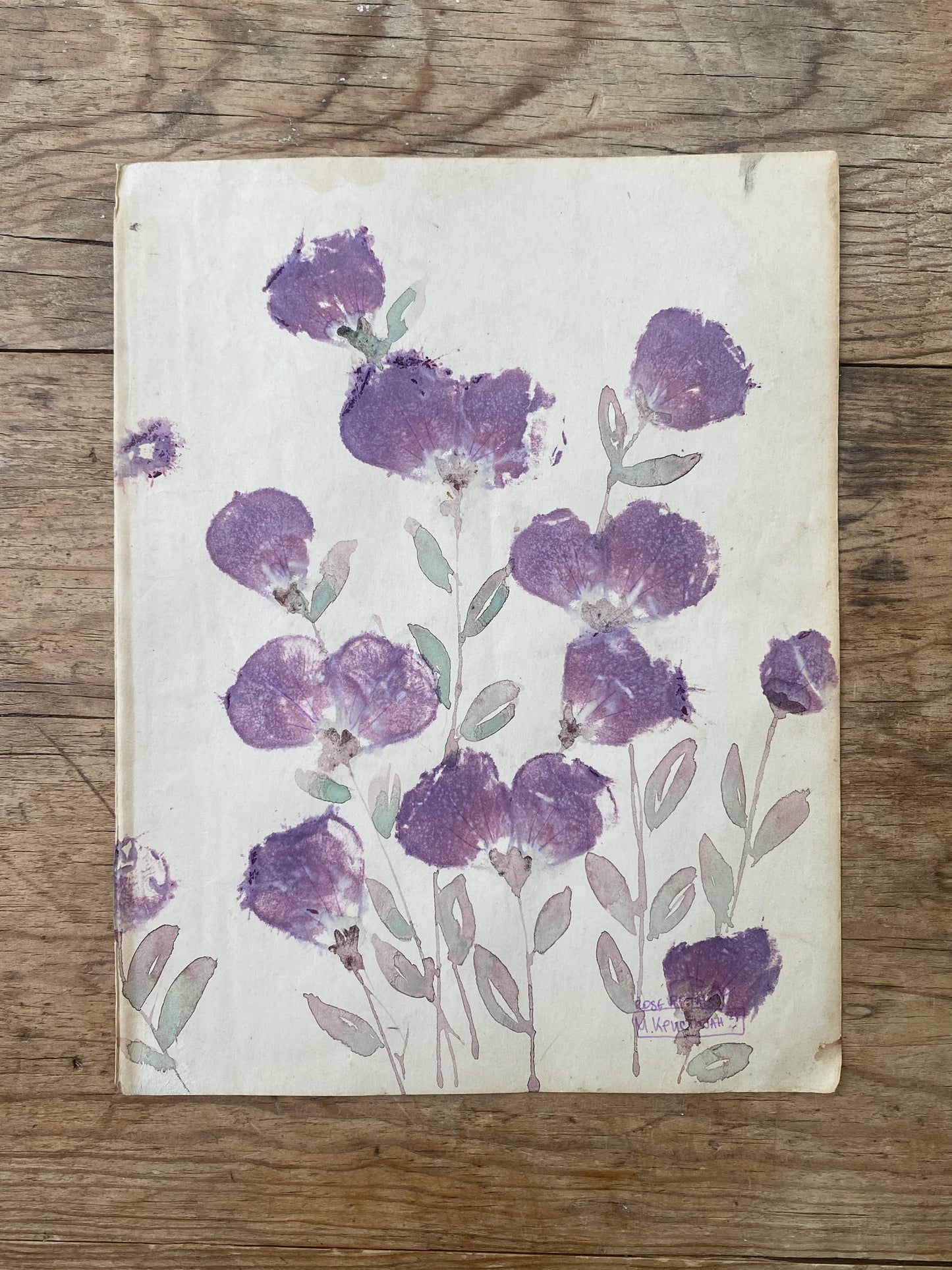 Purple Gathering | print