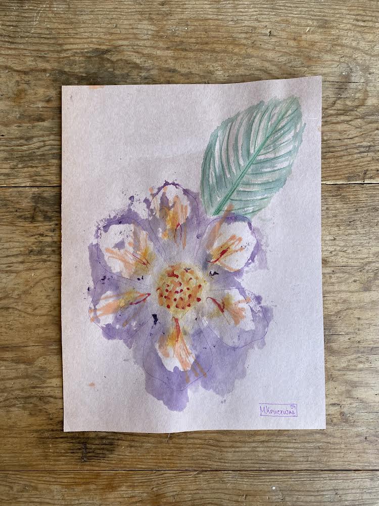 Tulip Flower 7