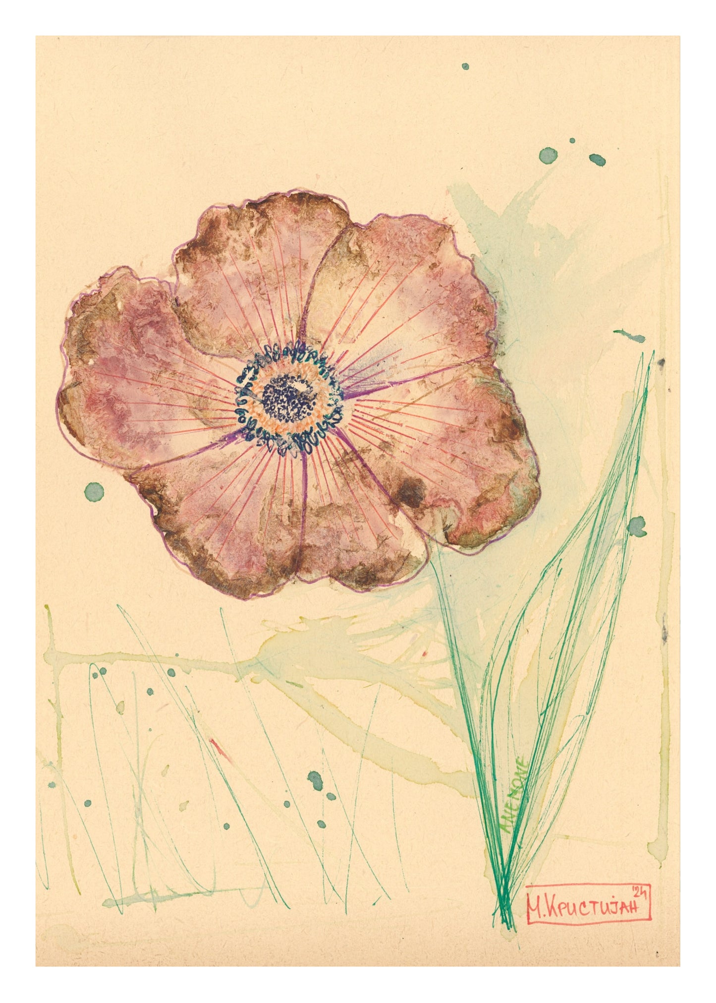 Anemone Flower 1 | print