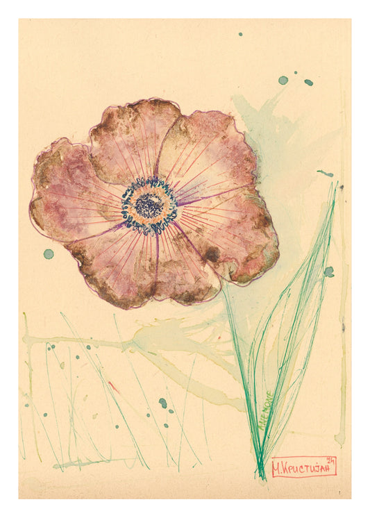 Anemone Flower 1 | print