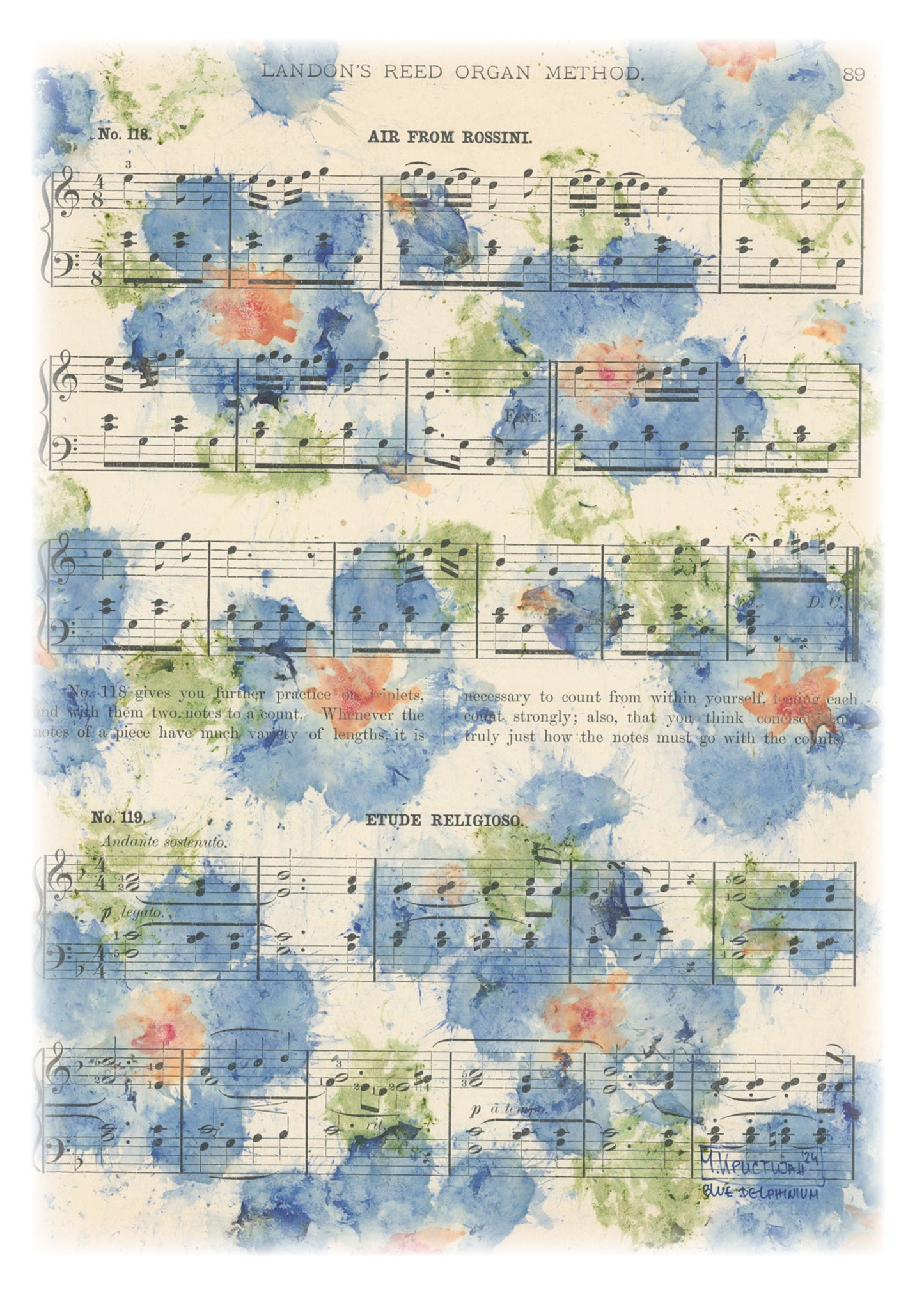 Blue Delphiniums 5 | card