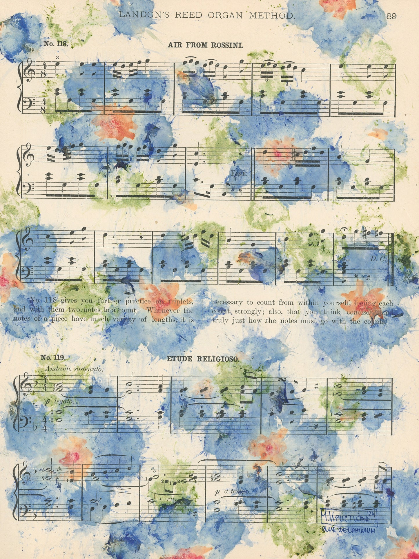 Blue Delphiniums Series | print