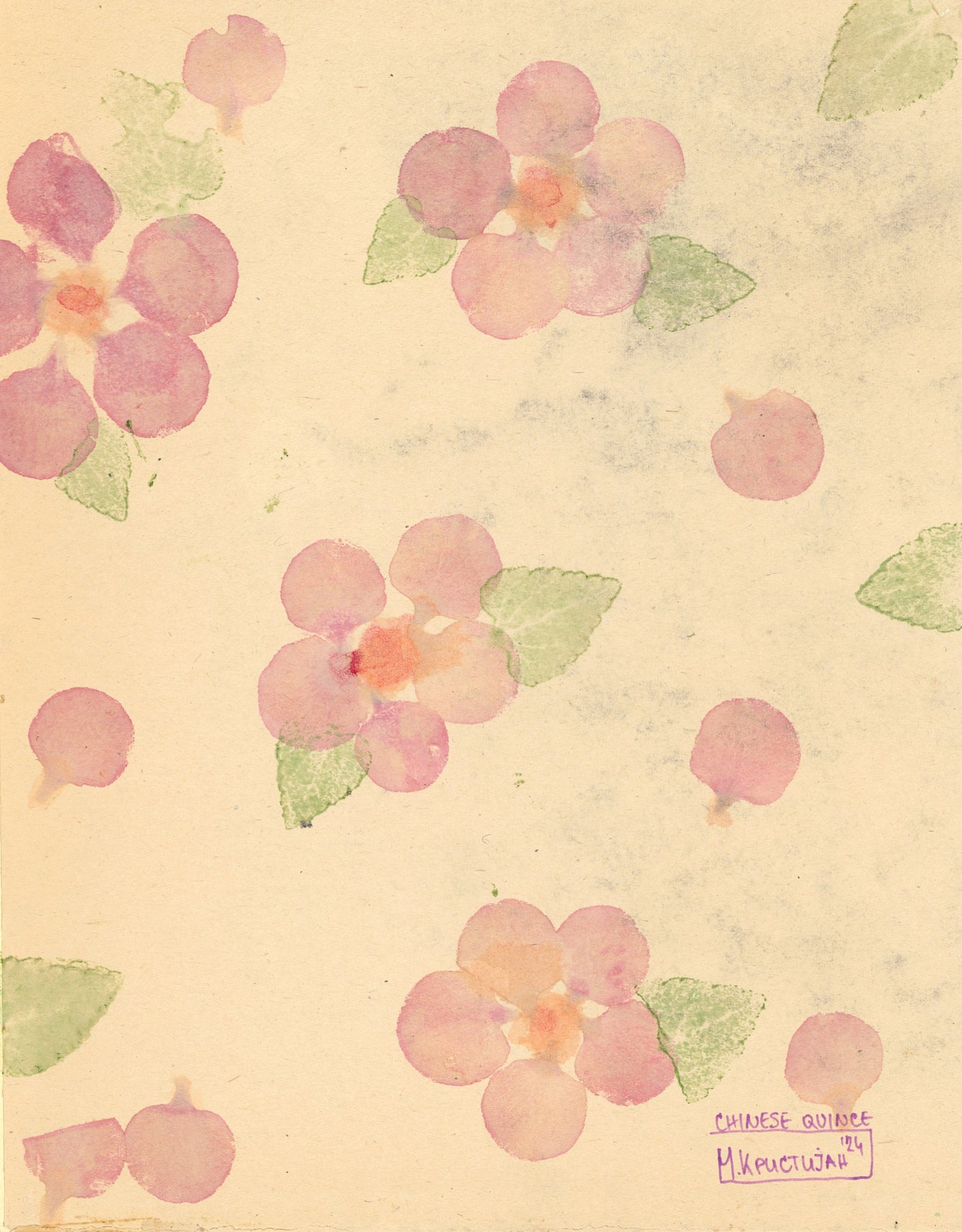 Chinese Quince Series | print