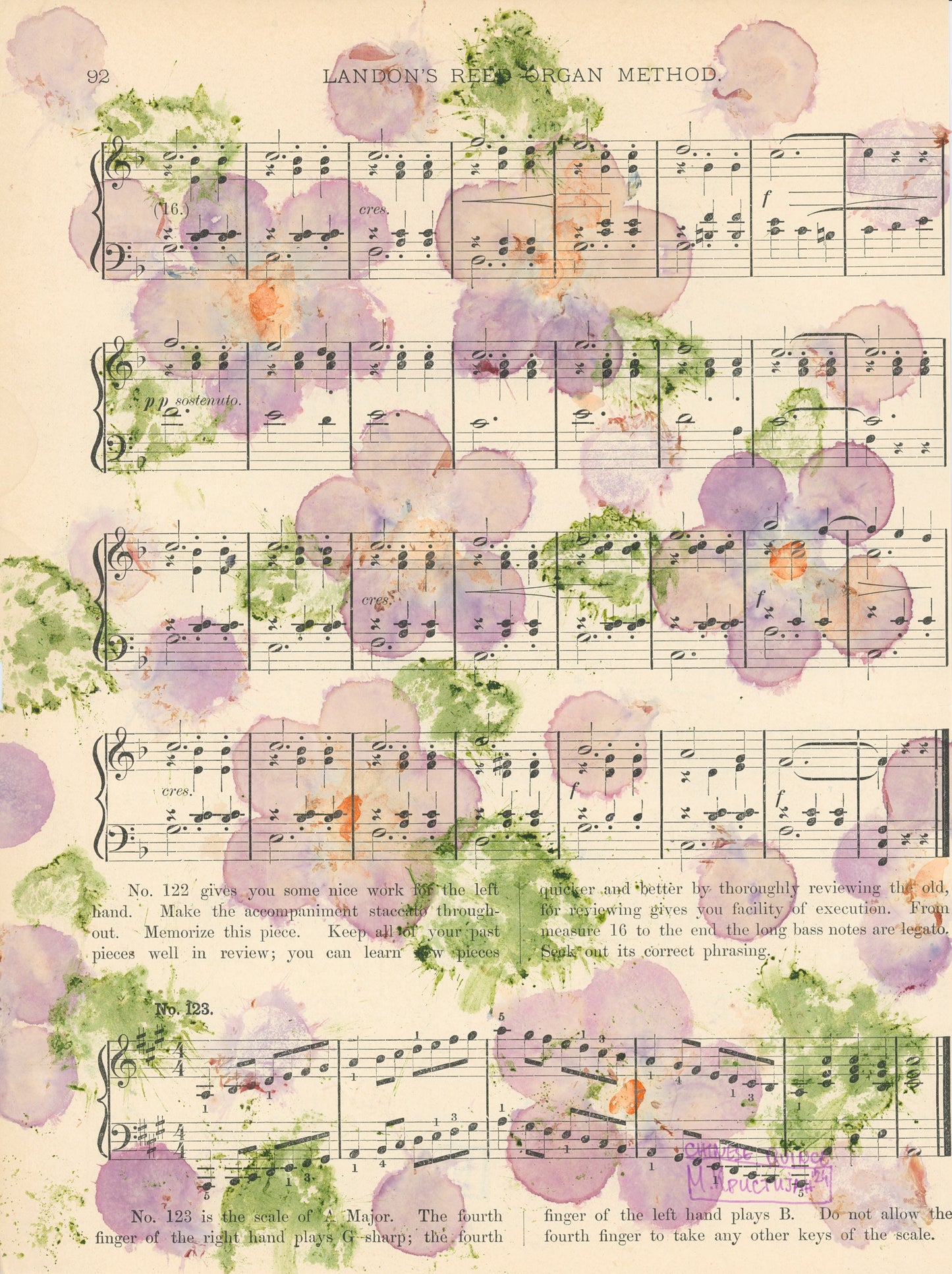 Chinese Quince Series | print