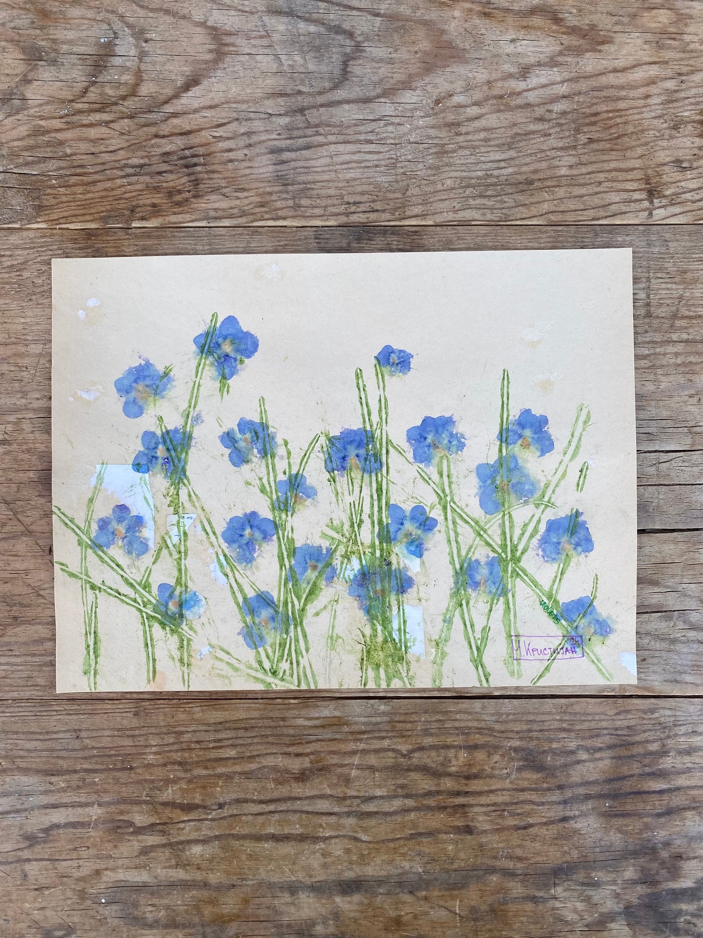 Field of Violets | print