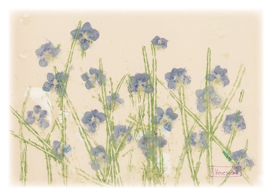 Field of Violets | card