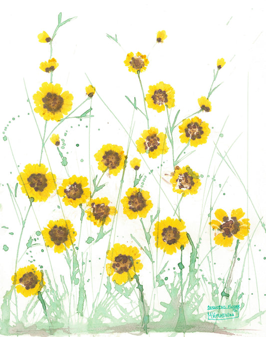 Field of Suns | print