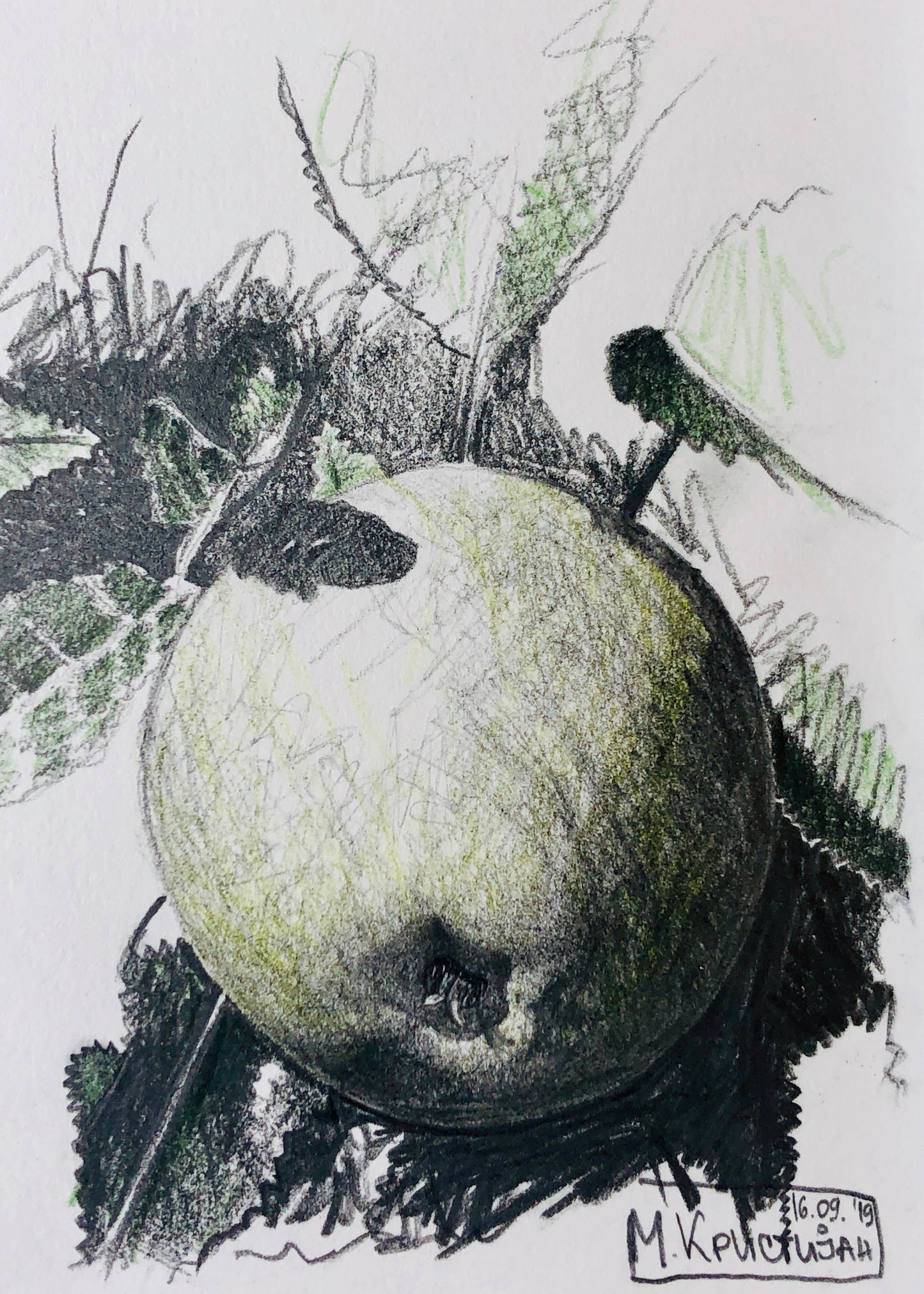 Green Apple | print