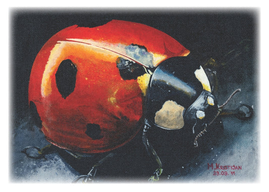 Ladybug | card