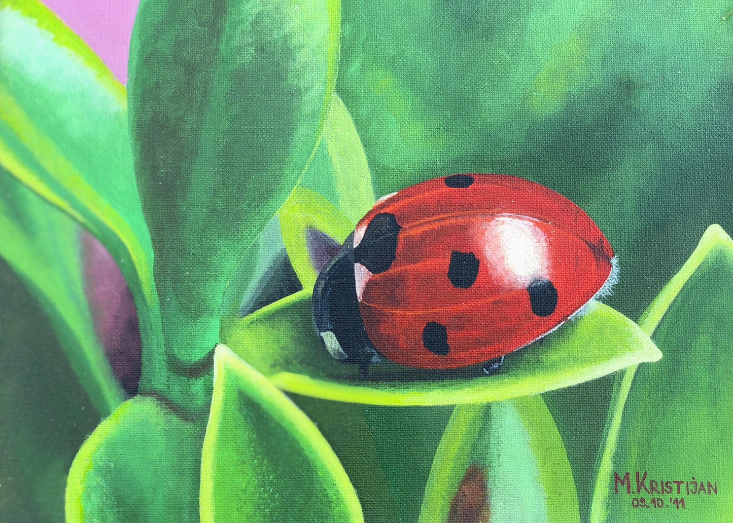Ladybug on Leaf | print