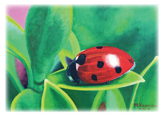 Ladybug on Leaf | card