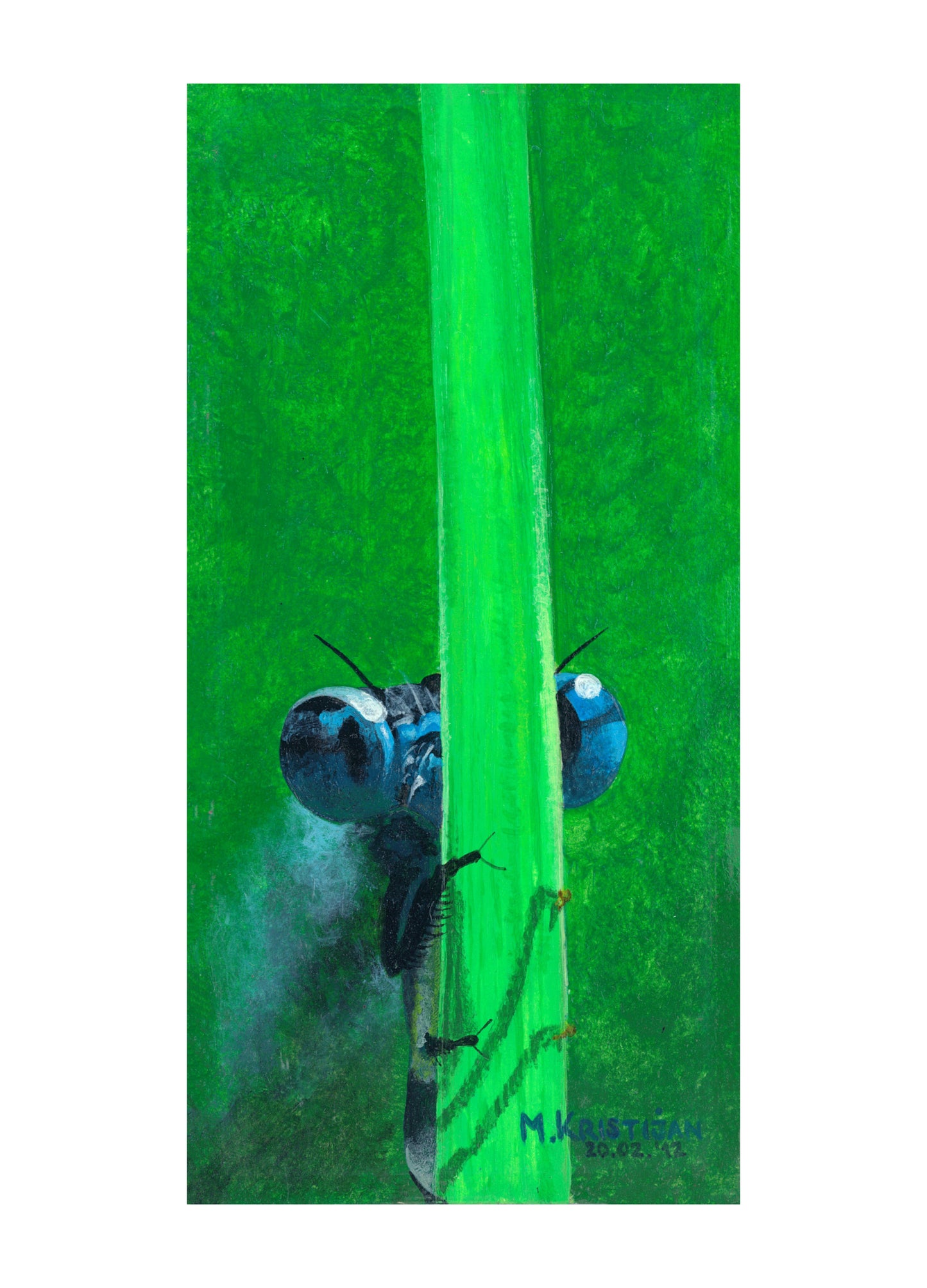 Hide and Seek | print