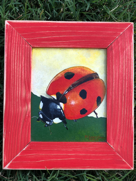 Miss Lady Bug