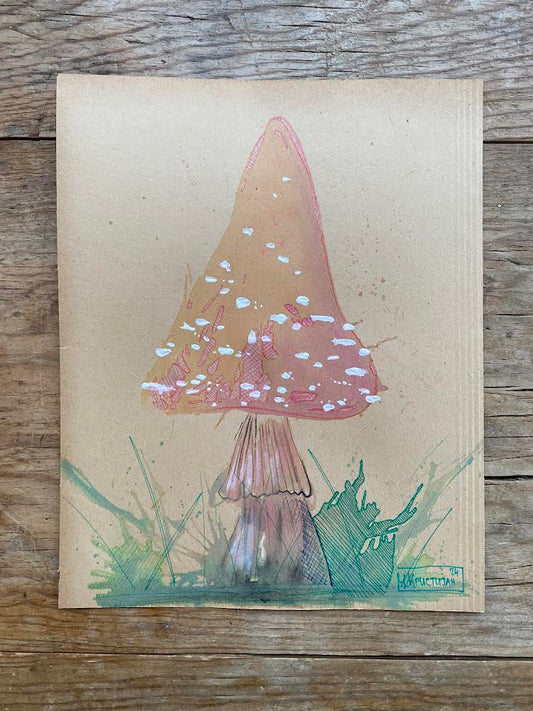 Mushroom 1