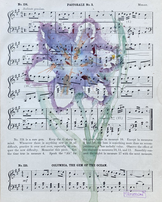 Musical Tulips 1 | print