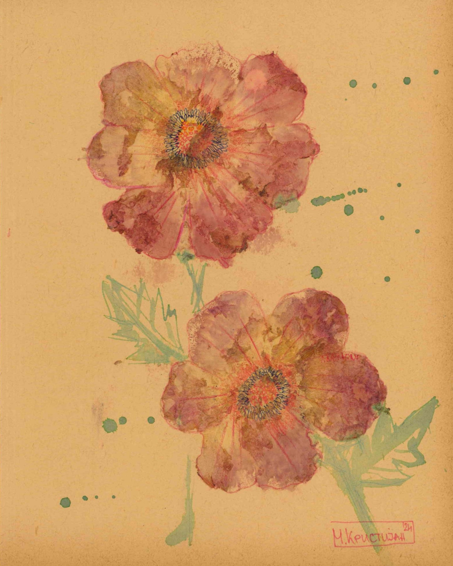 Pink Anemone Flowers | print