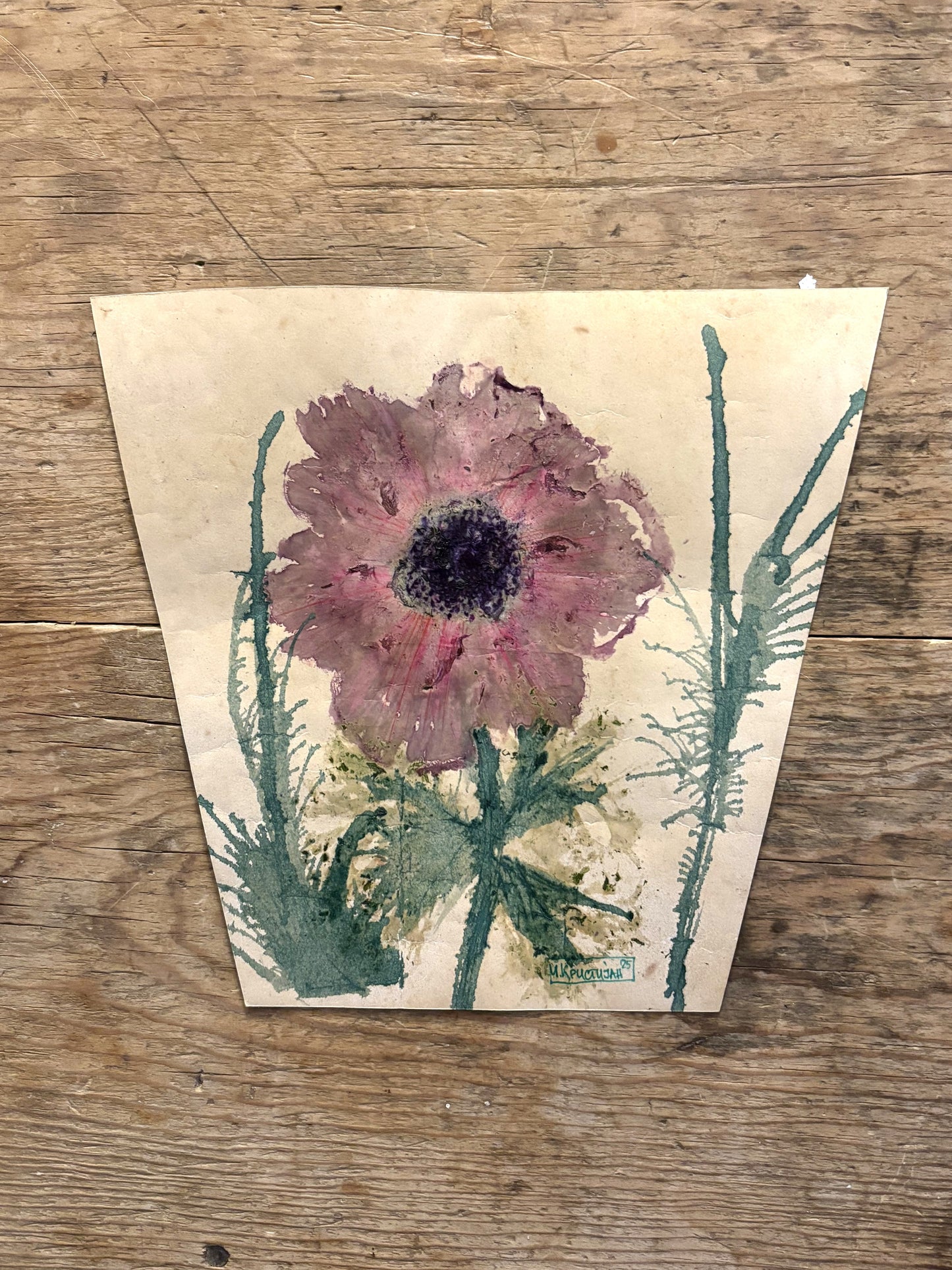 Pink Anemone original
