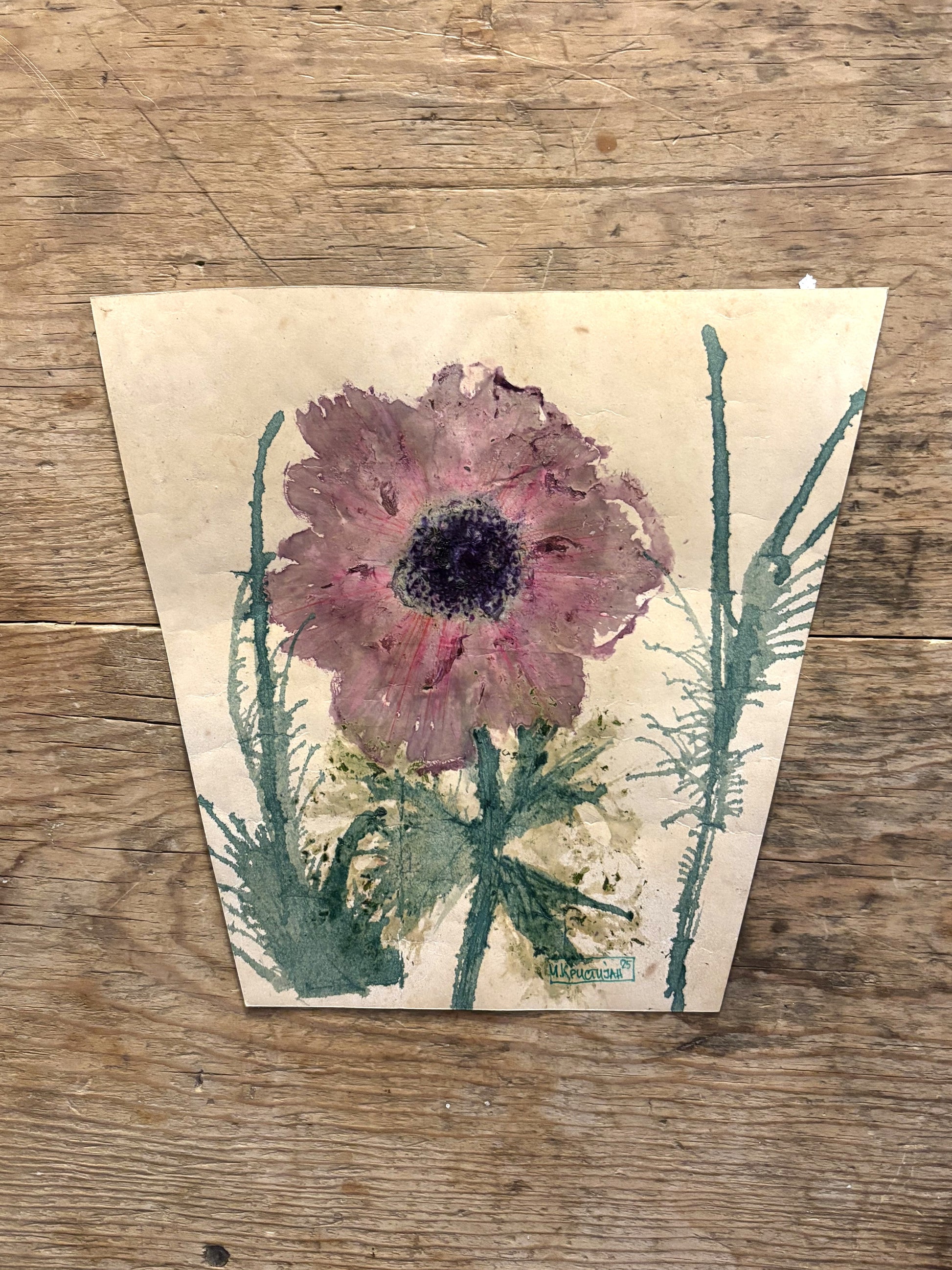 Pink Anemone original