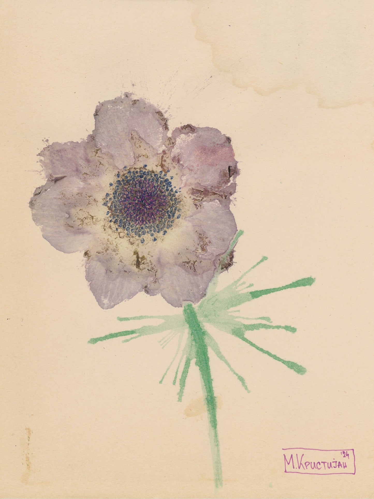 Purple Anemone | print
