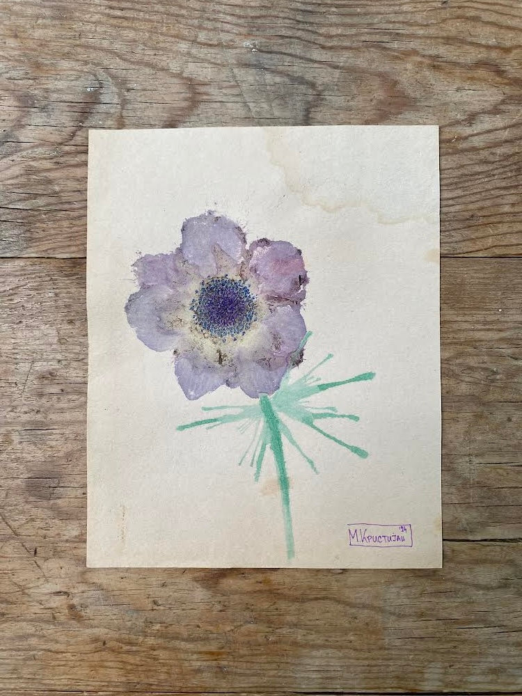 Purple Anemone | print