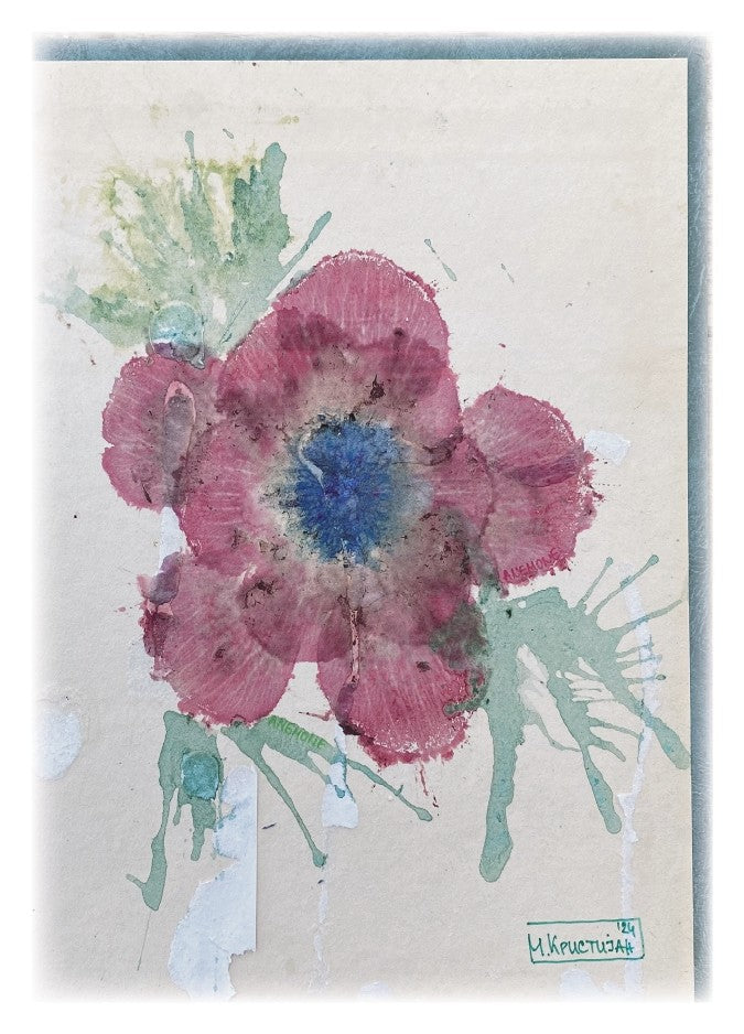 Red Anemone | card