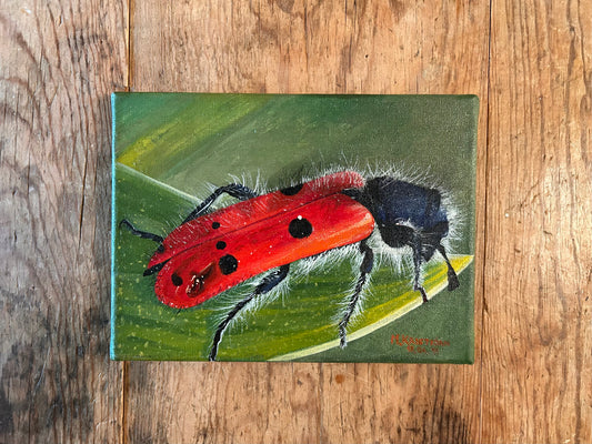Red Beetle