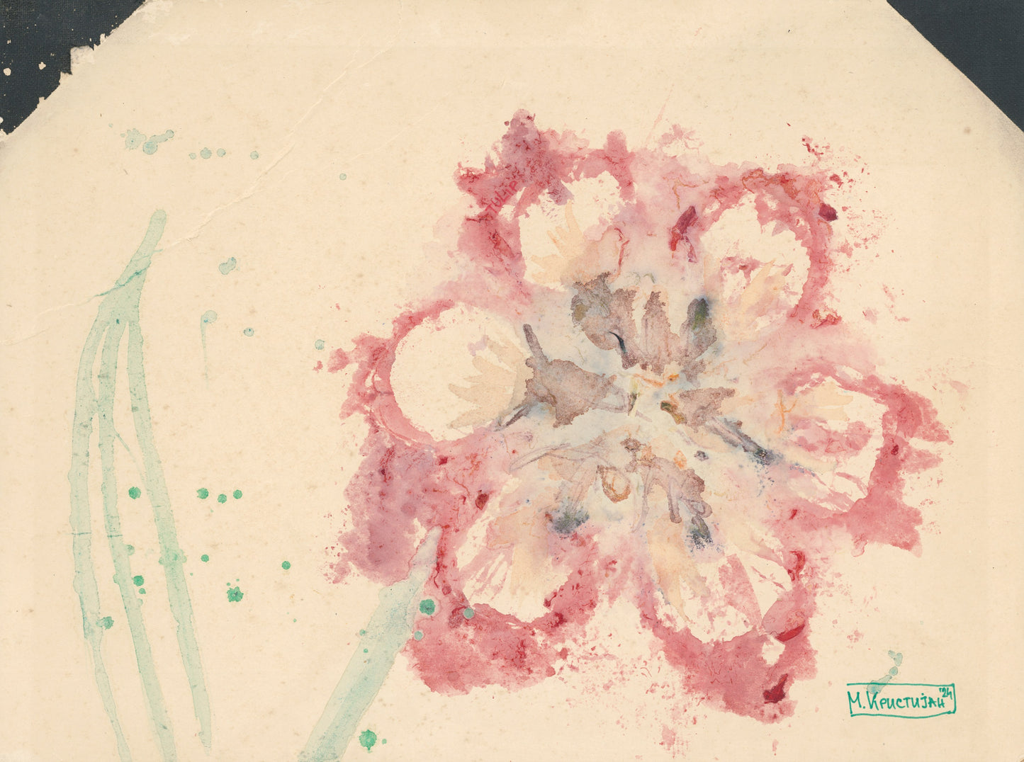 Red Tulip Flower Series | print