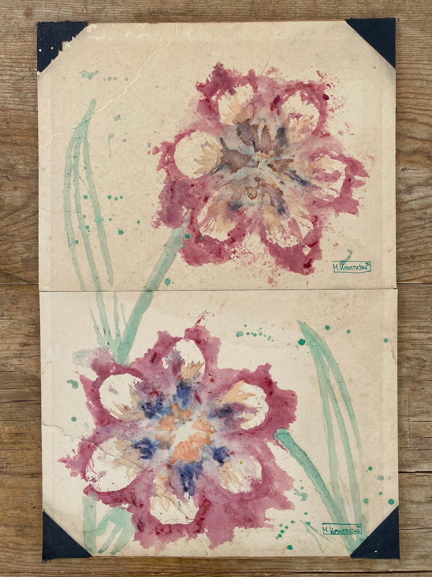 Red Tulip Flower Series | print