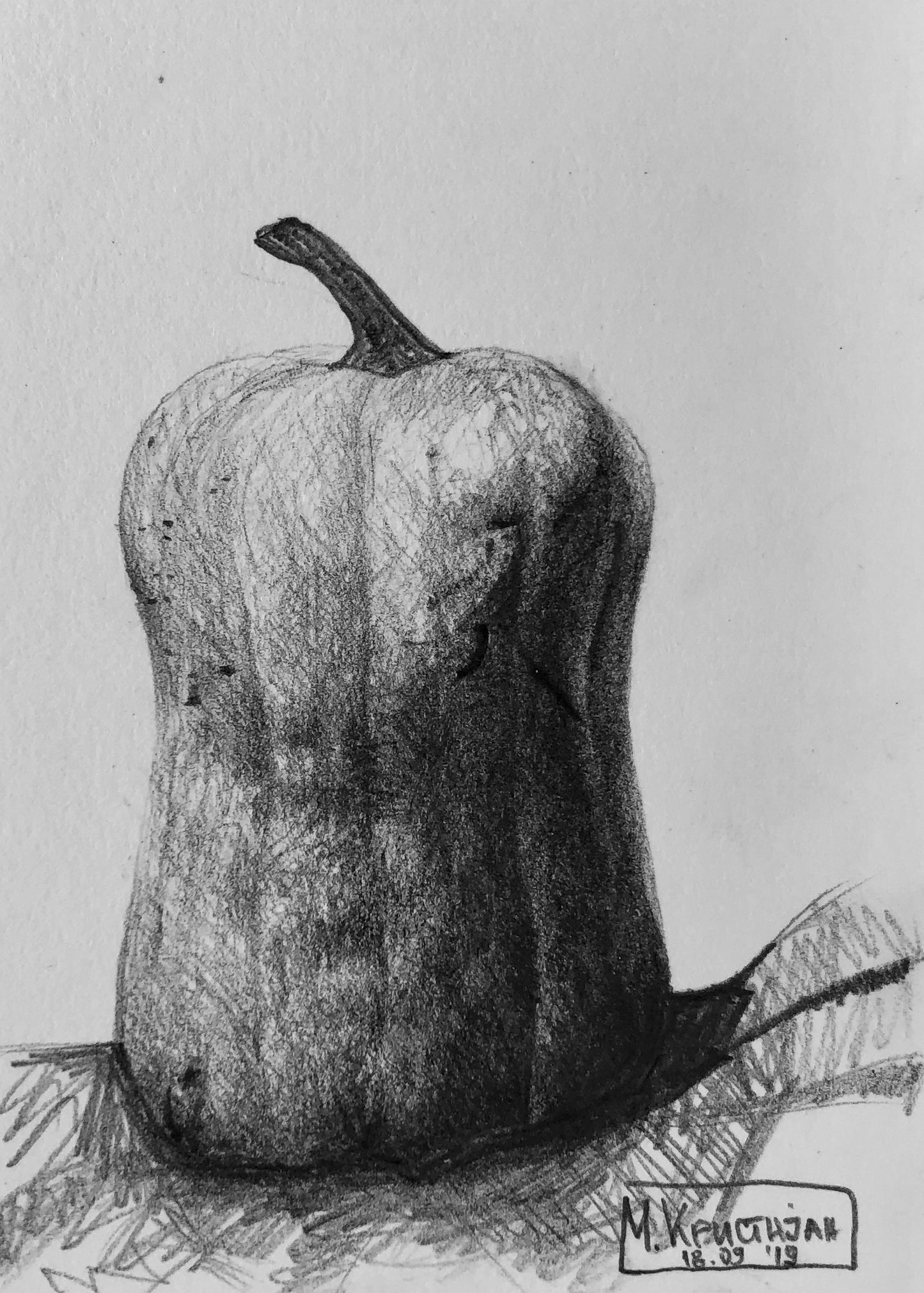 Squash | print