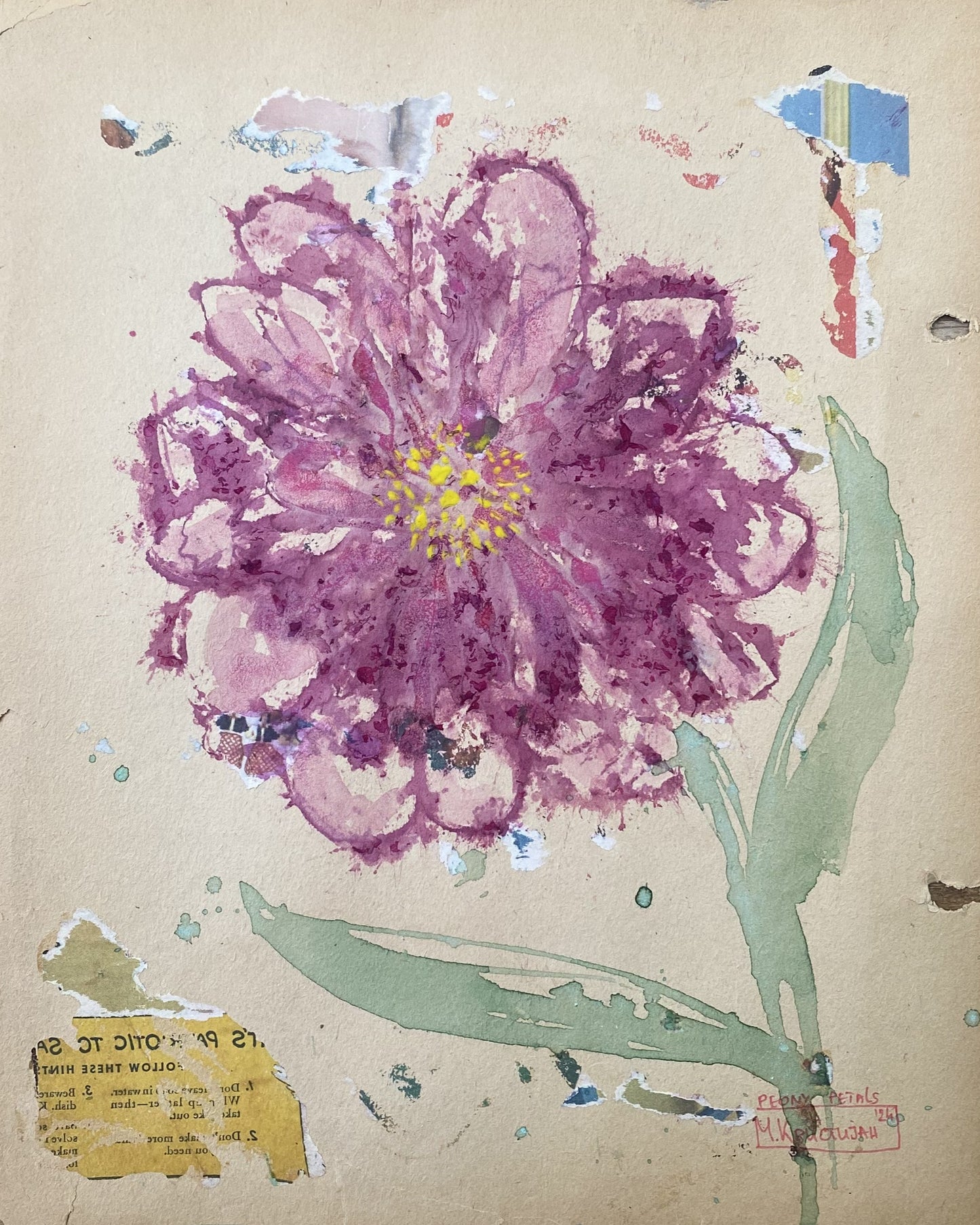 Sweet Peony