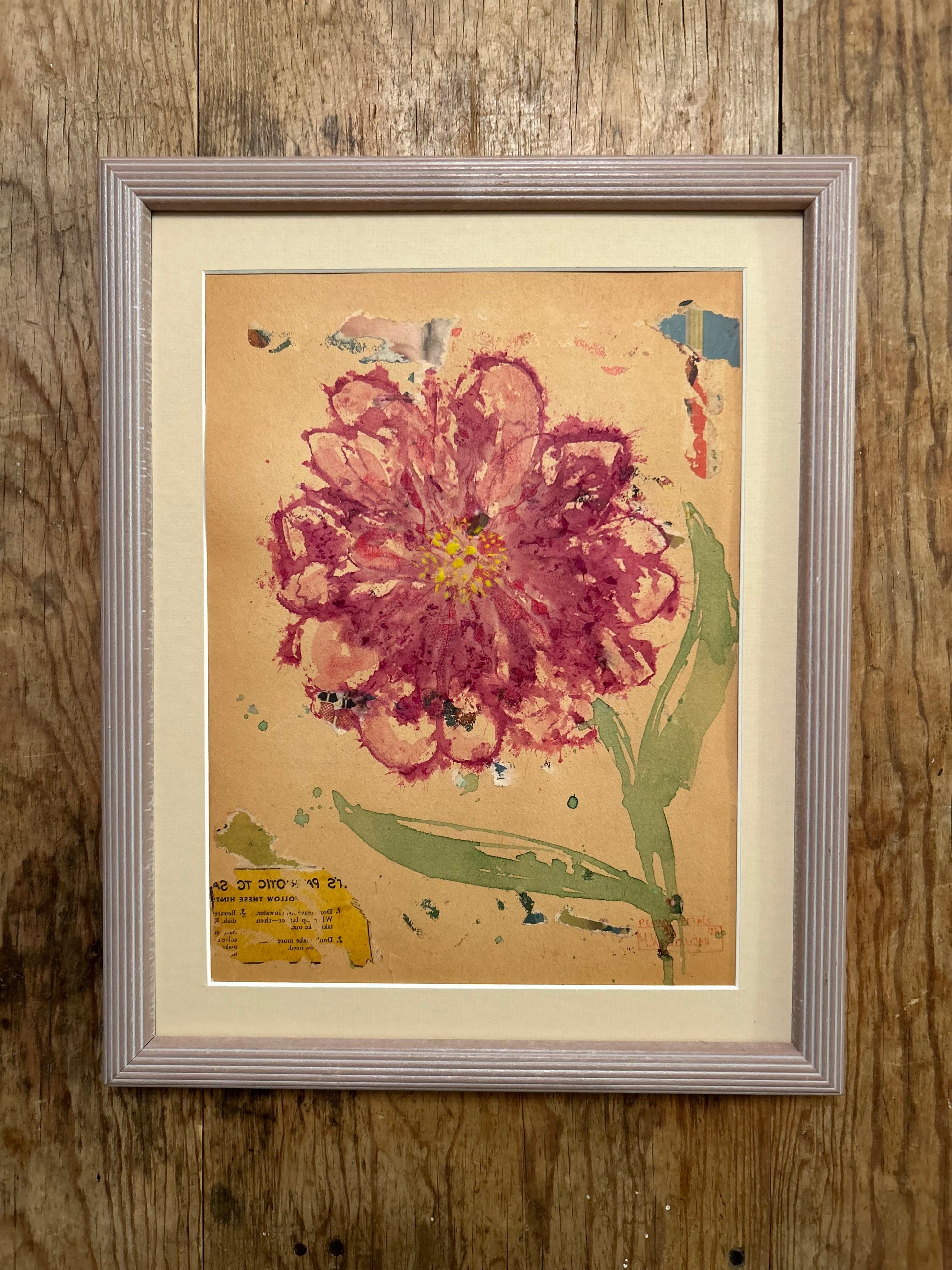 Sweet Peony