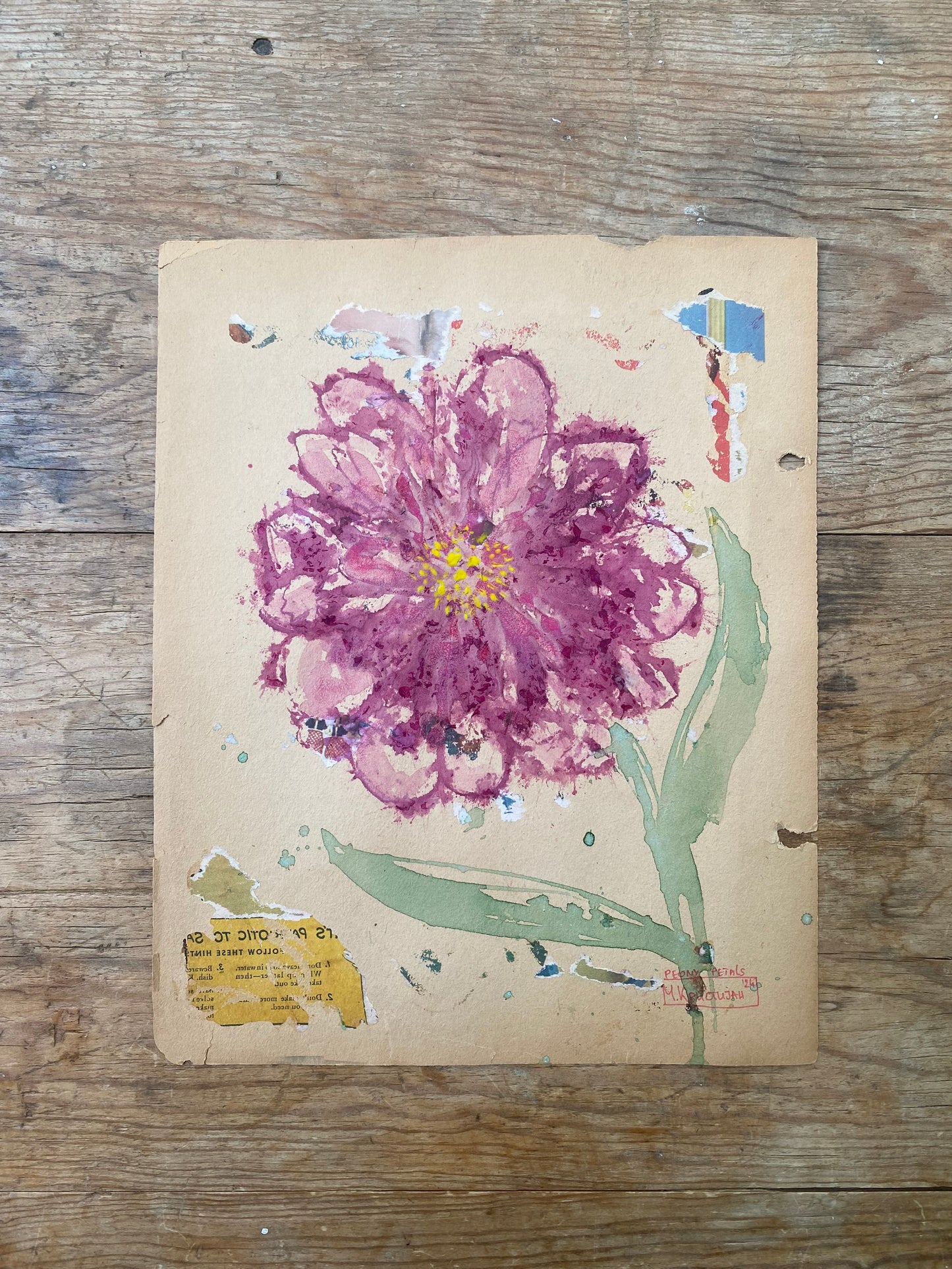Sweet Peony