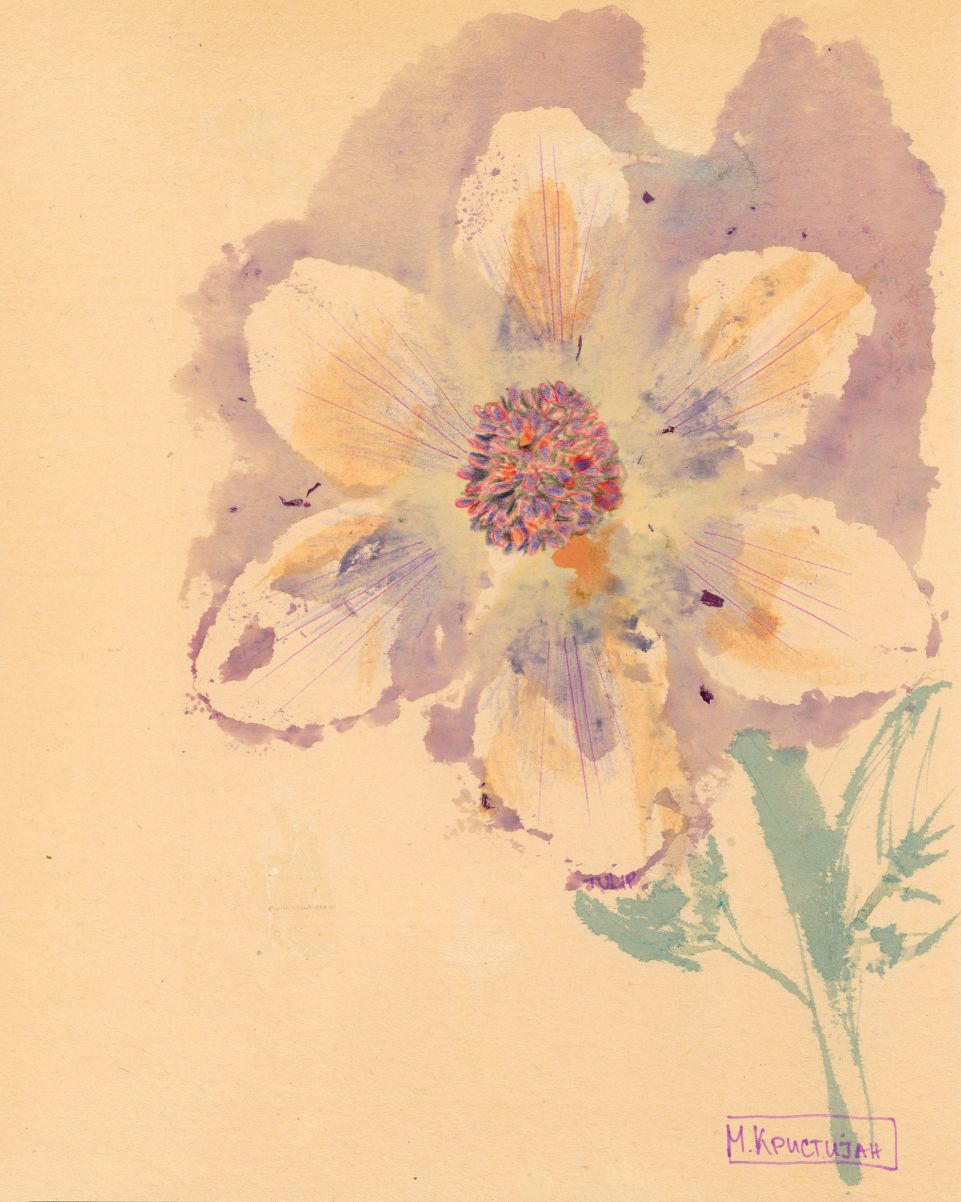 Artistic depiction of a flower on a textured beige background