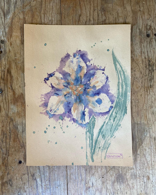 Tulip Flower 13