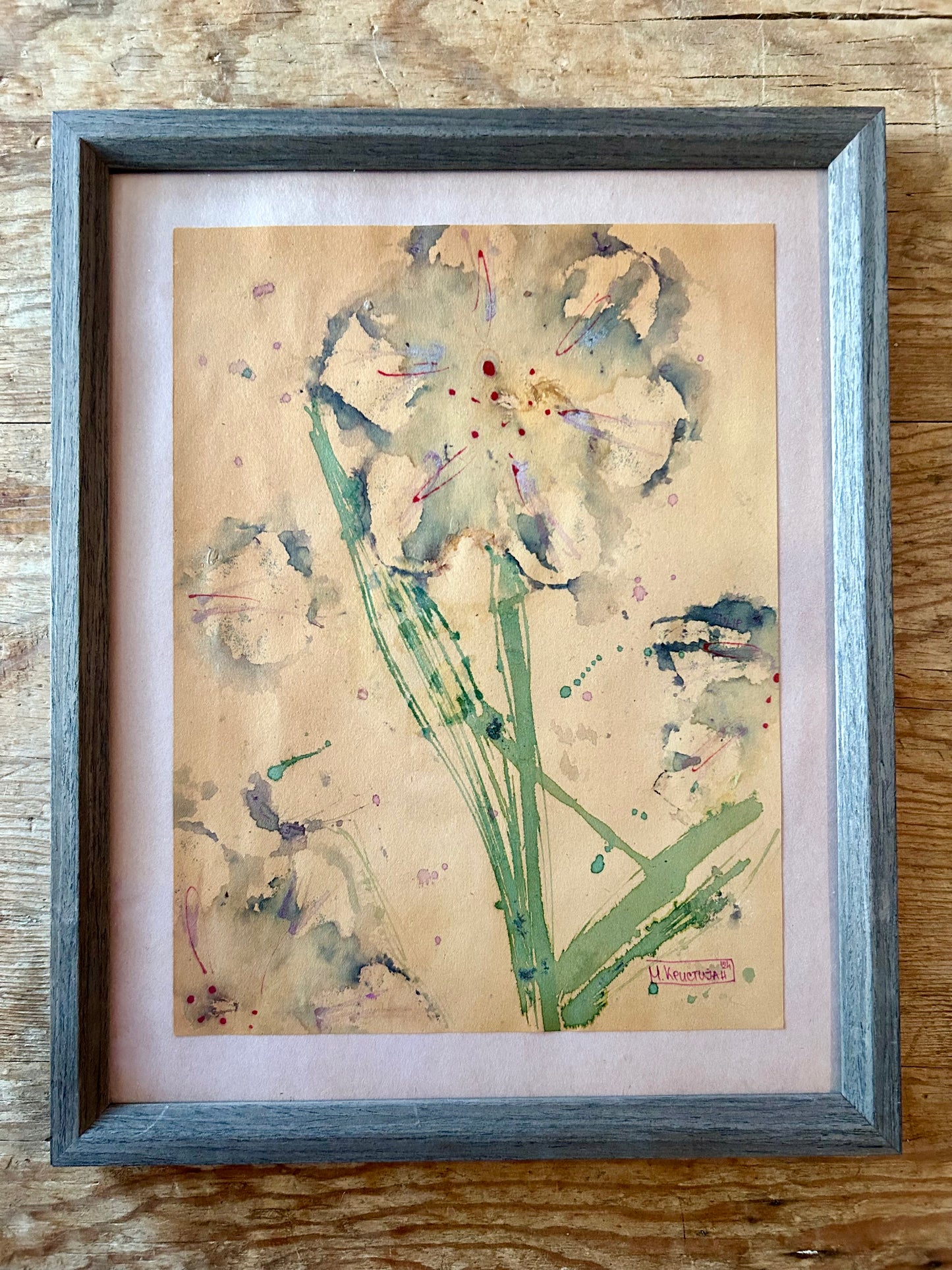 Tulip Flower 14