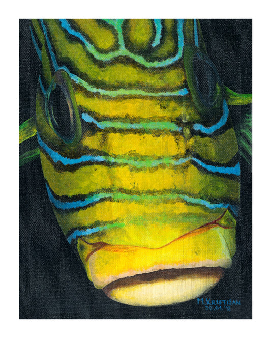 Yellow Fish | print